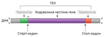 0501bbll-842a-337x119.png