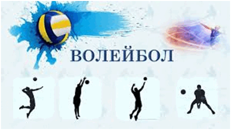 0501bcb5-d9a8-473x267.png