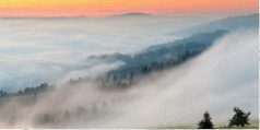 0501bd29-b8a8-238x119.png