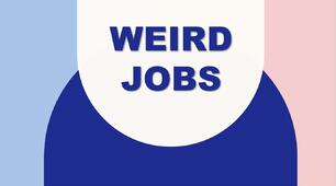 Презентація до уроку Weird jobs 9 клас