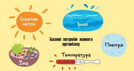 0501bh9e-e69a-443x236.png
