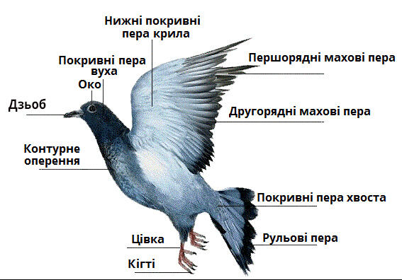 Screenshot_9.jpg