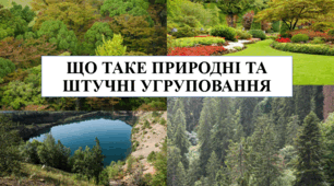 Презентація на тему "Що таке природні та штучні угруповання" 6 кл НУШ