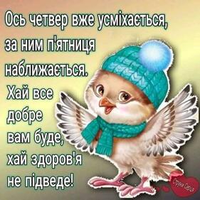 0501boko-544d-281x281.jpg
