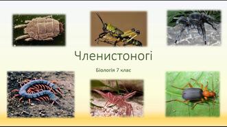 0501bopl-2072-331x186.jpg