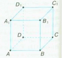 0501bpql-d543-216x201.png