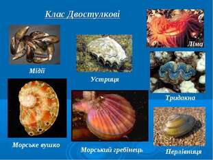 0501brw4-7d1b-311x233.jpg