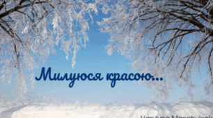 Настрій зимовий. Милуюся красою... Vasylyna Manchulenko