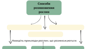 Практична робота №3 Розмноження рослин