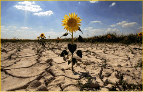 0501bvjw-a3e9-143x92.png