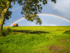 0501bvu7-d79e-236x177.png