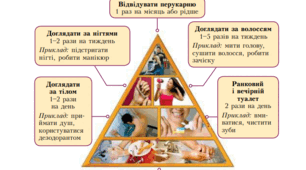 Біологічні ритми і здоров'я.