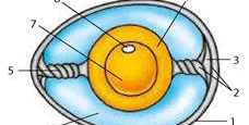 0501bwxm-1142-228x115.png