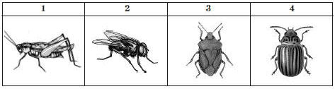 0501bxj1-df8e-473x126.png