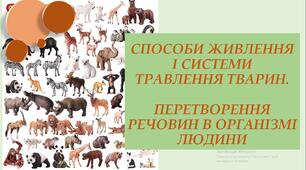 Способи живлення і система травлення тварин. Перетворення речевин в організмі людини