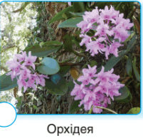 0501c1f3-2fbd-209x202.png