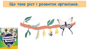 Що таке ріст і розвиток організмів. (6 клас "Пізнаємо природу" &24, автор Д. Біда)