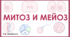 Подвоєння ДНК. Мітоз та мейоз