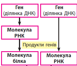 0501c5fm-3d7f-272x232.png