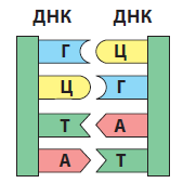 0501c6js-4396-169x169.png