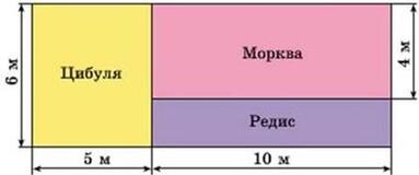 0501c6o5-3cf3-383x160.jpg