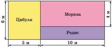 0501c6pn-5ce3-369x155.jpg