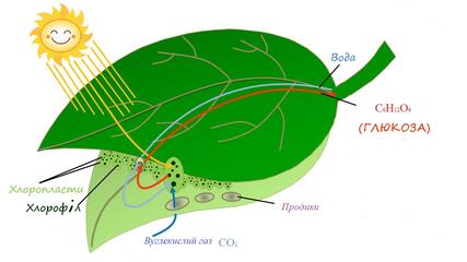 0501c70s-7fcd-427x240.jpg
