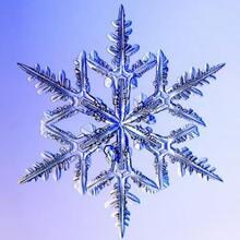 0501c7s5-e3b2-220x220.jpg