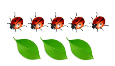 0501ccx4-3a2d-386x222.png