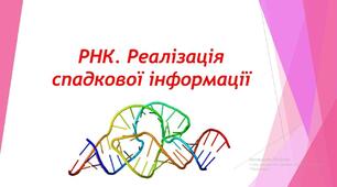 Реалізація спадкової інформації, Збереження спадкової інформації