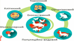 0501cela-7d3a-237x131.png