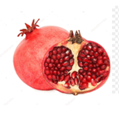 0501ch0g-1491-171x167.png