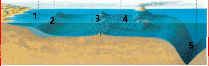 0501cizo-f706-833x265.png