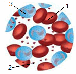 0501cjmu-c2ab-149x146.png