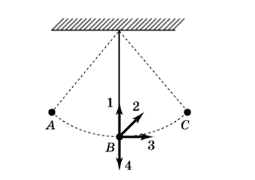 0501clqp-90e8-368x260.png