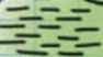 0501cluc-8dd2-94x52.png