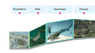 Як тварини заселили Землю. Діагностична робота.