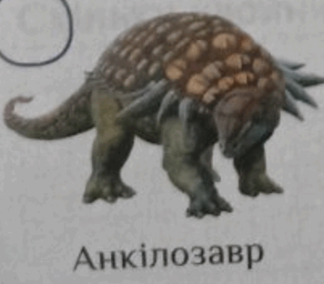 0501co0l-7872-356x312.png