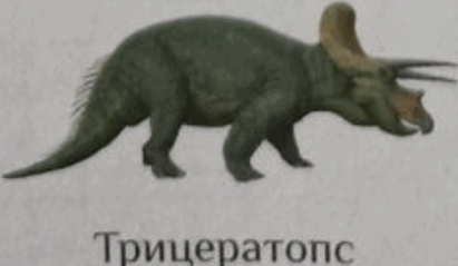 0501co0n-83ba-411x239.png