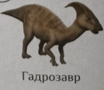 0501co0u-79ad-346x298.png