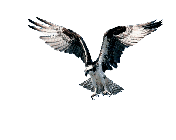 0501cogb-cb06-580x461.png