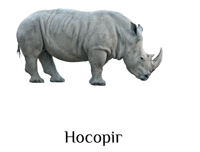 0501cohw-9a5b-702x533.png