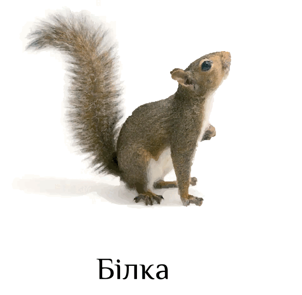 0501coju-5477-591x577.png