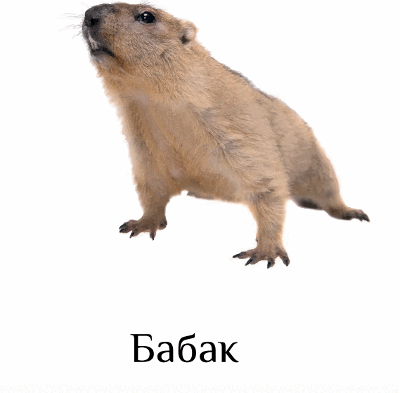 0501cokk-b08f-569x560.png