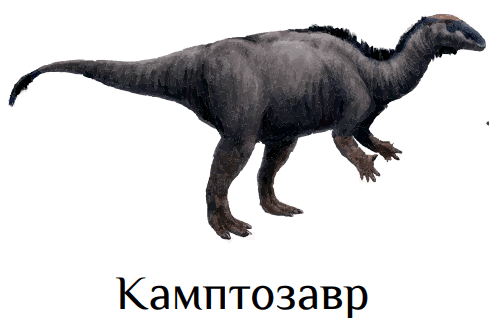 0501comb-e8dd-489x328.png