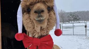Адвент календар ❤️🎄