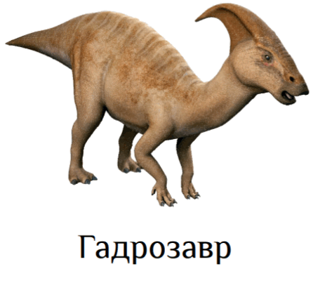 0501cooq-488f-473x433.png