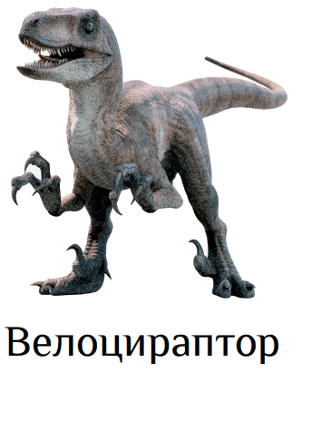 0501coov-5ea2-354x475.png