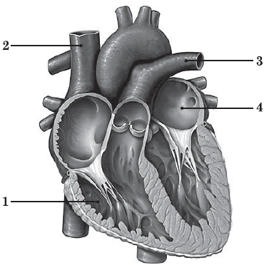 0501cq3d-c9a8-370x372.png