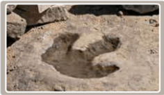0501cqdp-ecbe-236x138.png